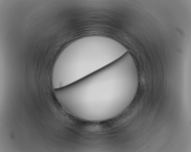 X0000115600551200911100954