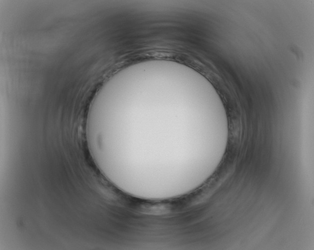 X0000115600553200911100954