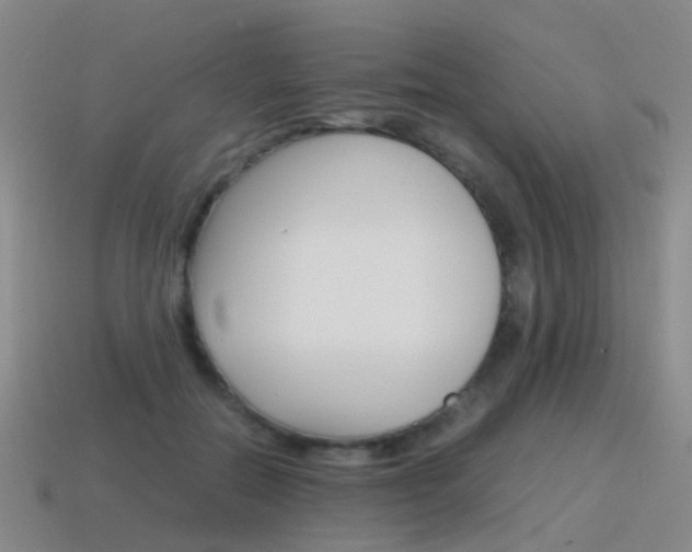 X0000115600554200911100954