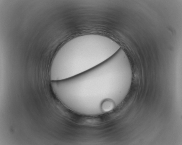 X0000115600555200911100954
