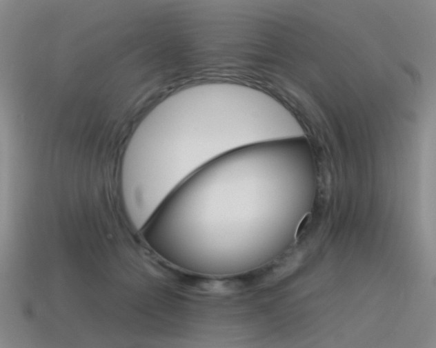 X0000115600558200911100954