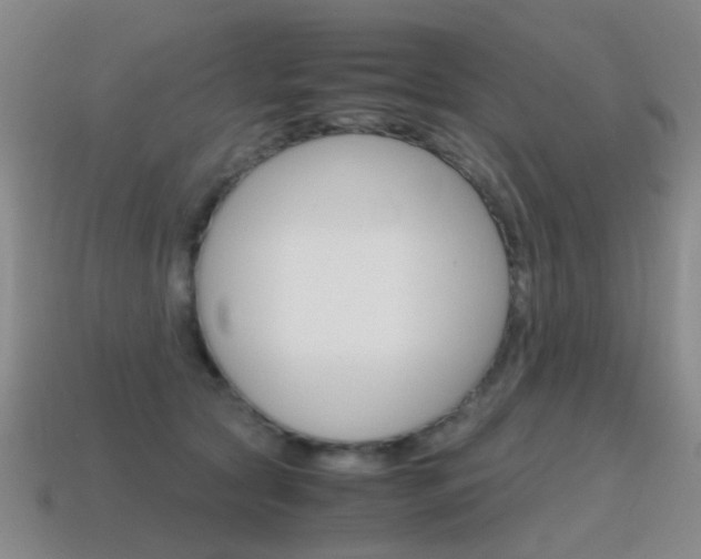 X0000115600561200911100954