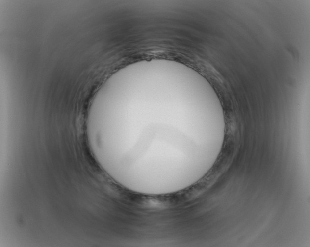 X0000115600565200911100954