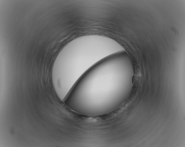 X0000115600566200911100954