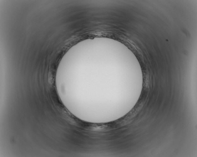 X0000115600569200911100954