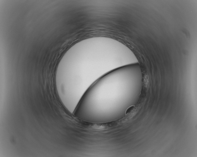 X0000115600570200911100954