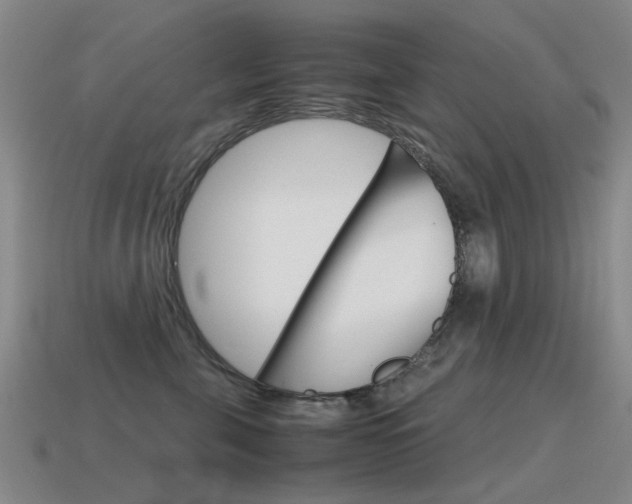 X0000115600571200911100954