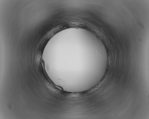 X0000115600574200911100954