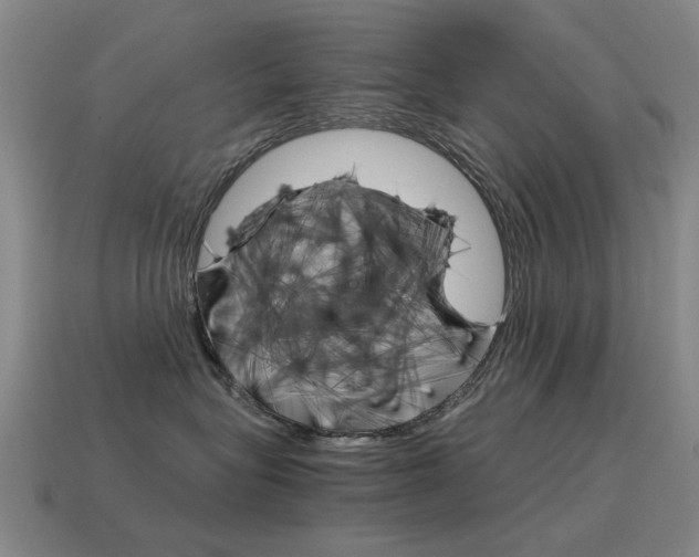 X0000115600575200911100954