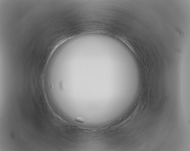 X0000115600579200911100954