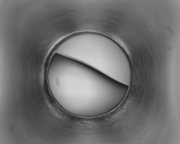 X0000115600580200911100954
