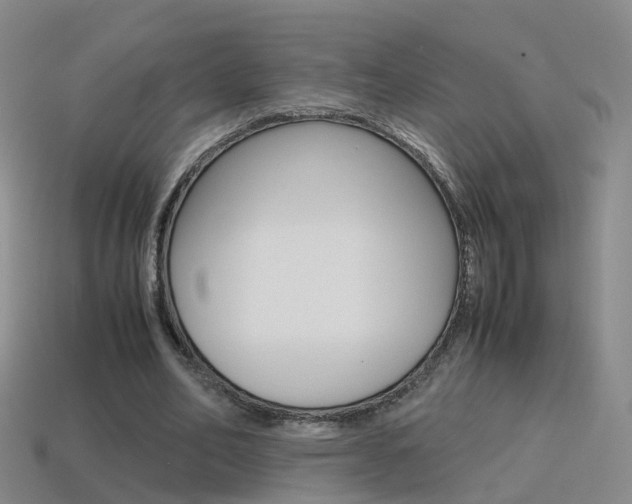 X0000115600582200911100954