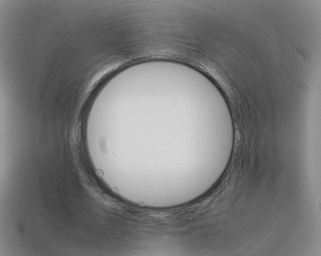 X0000115600583200911100954