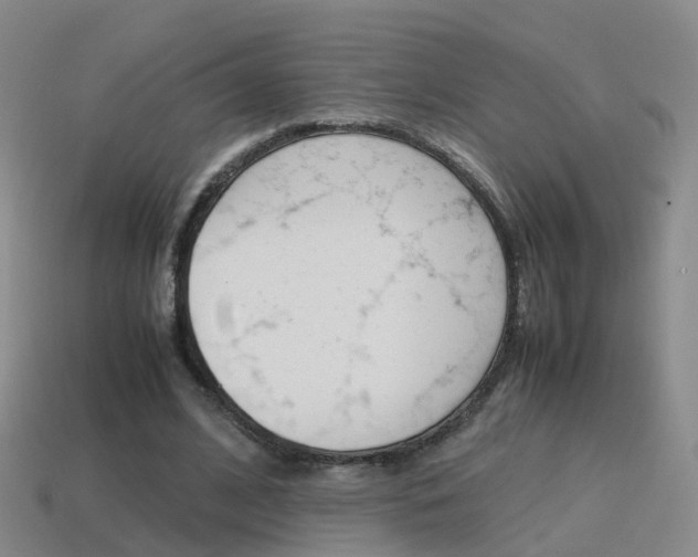 X0000115600584200911100954