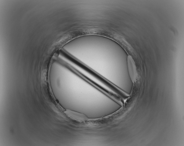 X0000115600585200911100954