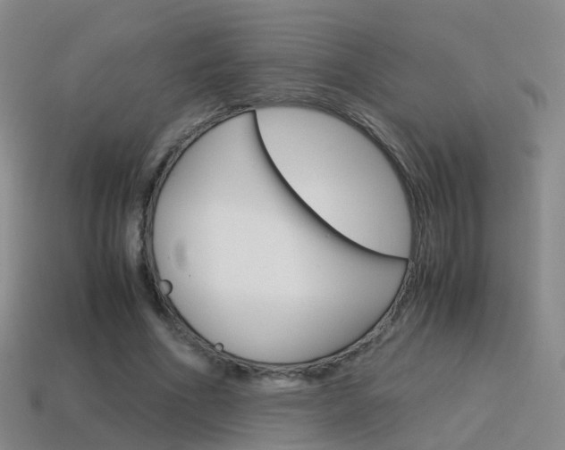 X0000115600586200911100954
