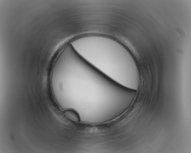 X0000115600588200911100954