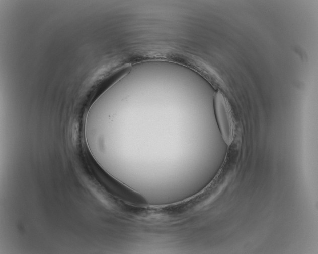 X0000115600589200911100954