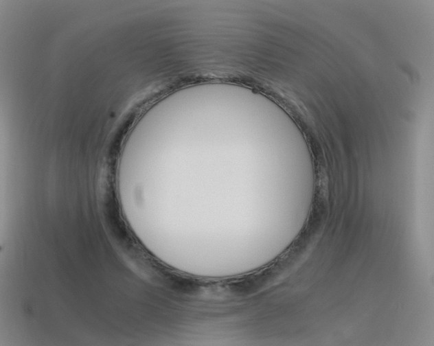 X0000115600591200911100954