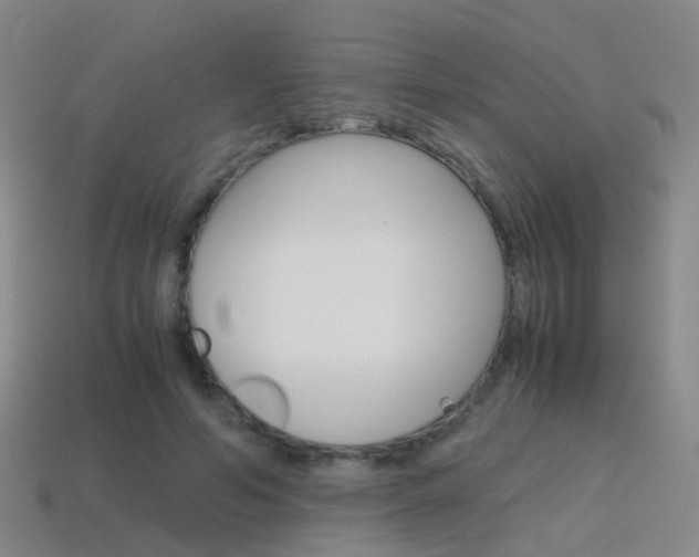 X0000115600594200911100954