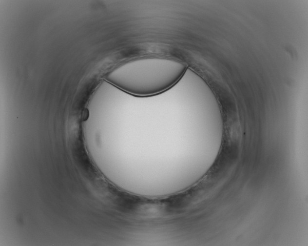 X0000115600595200911100954