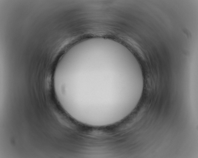X0000115600596200911100954
