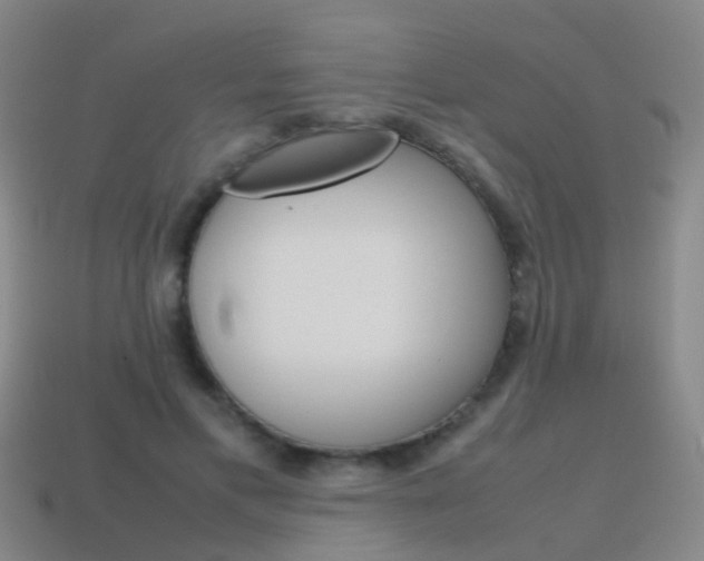 X0000115600597200911100954
