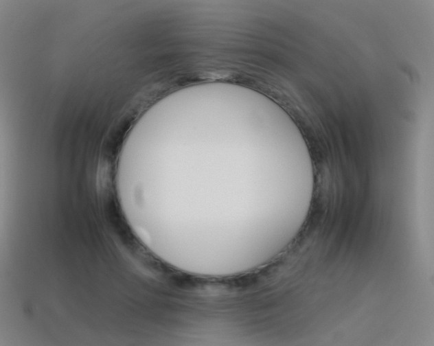 X0000115600598200911100954