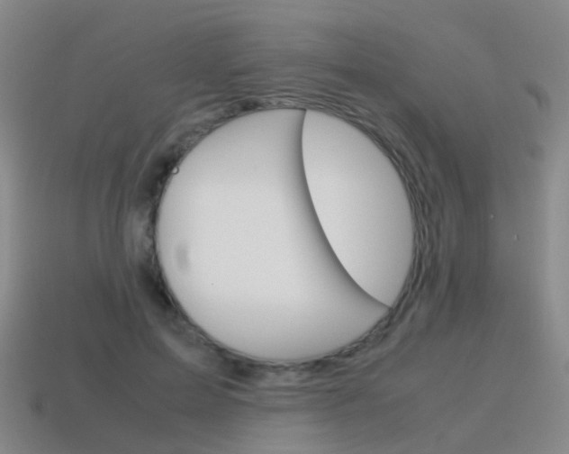 X0000115600599200911100954