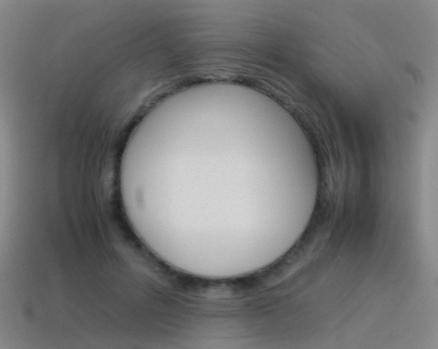 X0000115600600200911100954