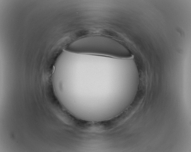 X0000115600601200911100953