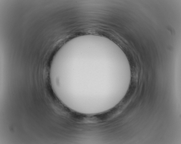 X0000115600603200911100953
