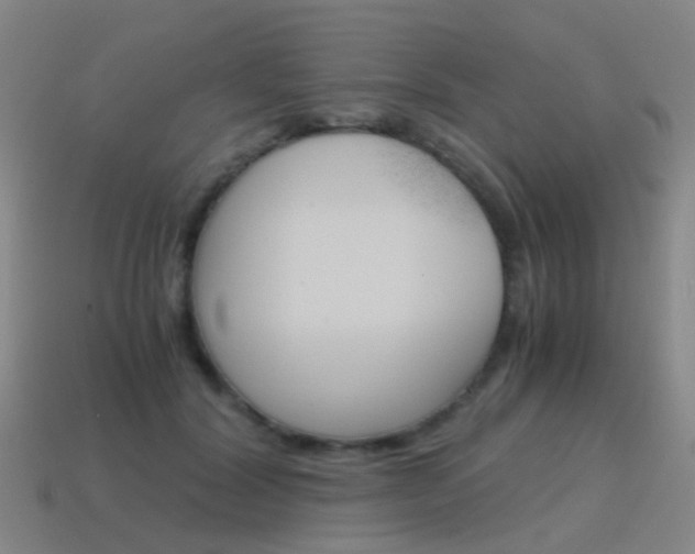 X0000115600604200911100953