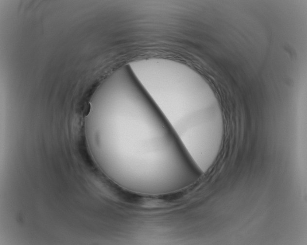 X0000115600605200911100953