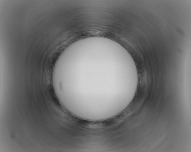 X0000115600606200911100953