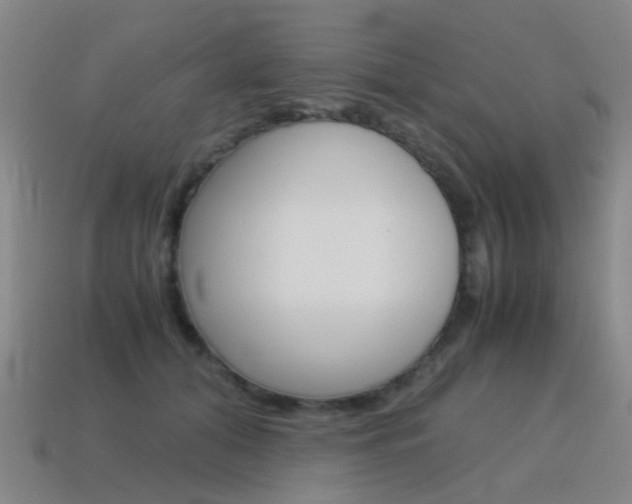 X0000115600608200911100953