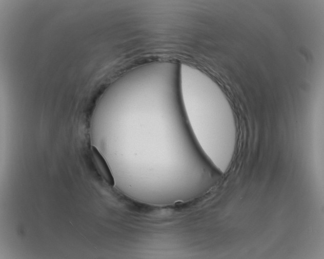 X0000115600609200911100953