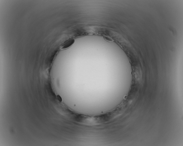 X0000115600611200911100953