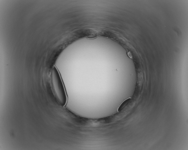 X0000115600613200911100953