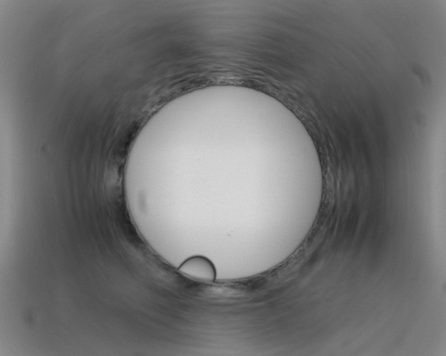 X0000115600614200911100953