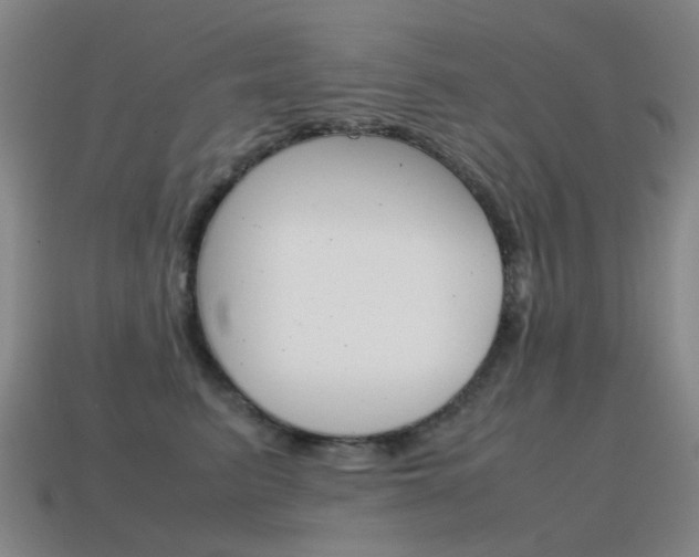 X0000115600615200911100953