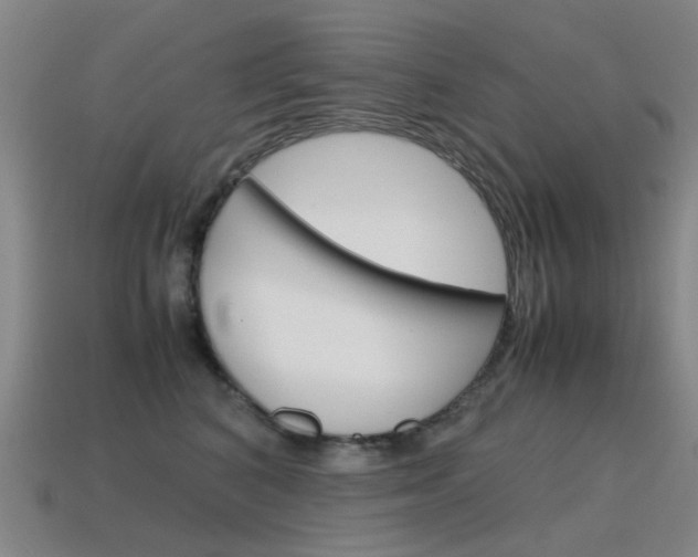 X0000115600616200911100953