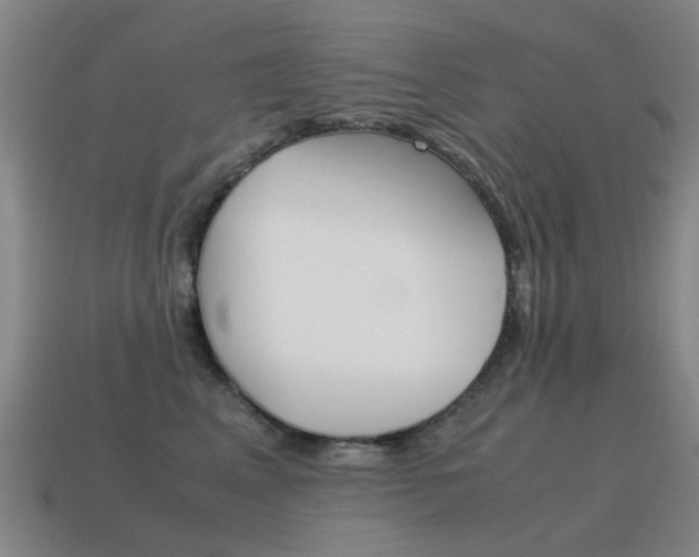 X0000115600617200911100953