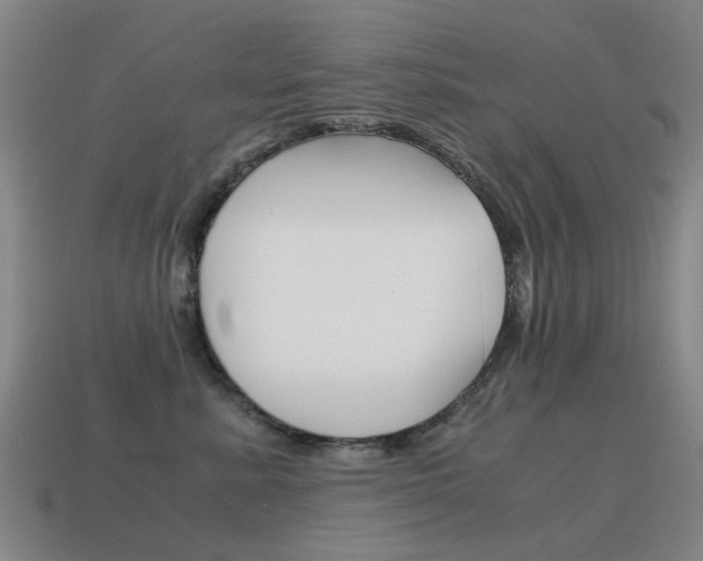 X0000115600619200911100953