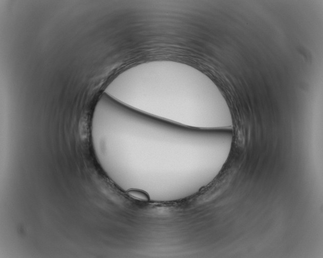 X0000115600620200911100953