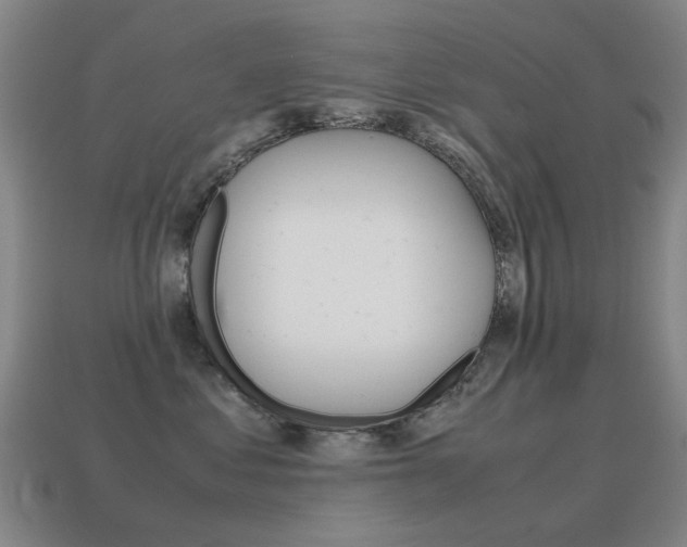 X0000115600621200911100953
