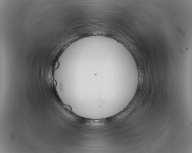 X0000115600622200911100953
