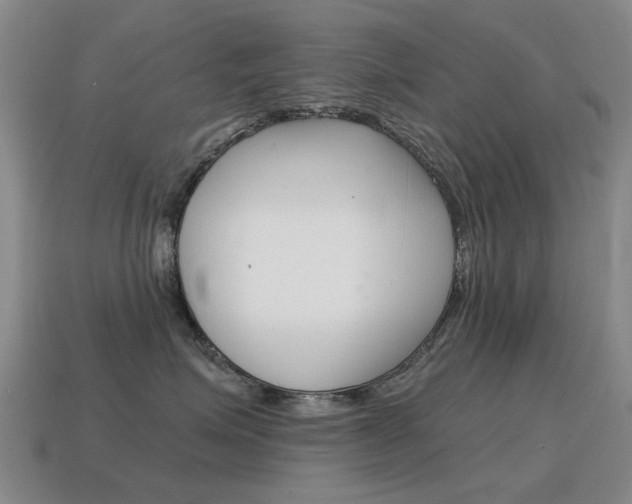 X0000115600623200911100953