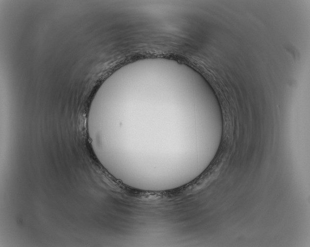 X0000115600624200911100953