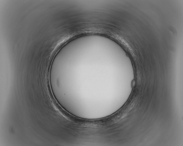 X0000115600625200911100953